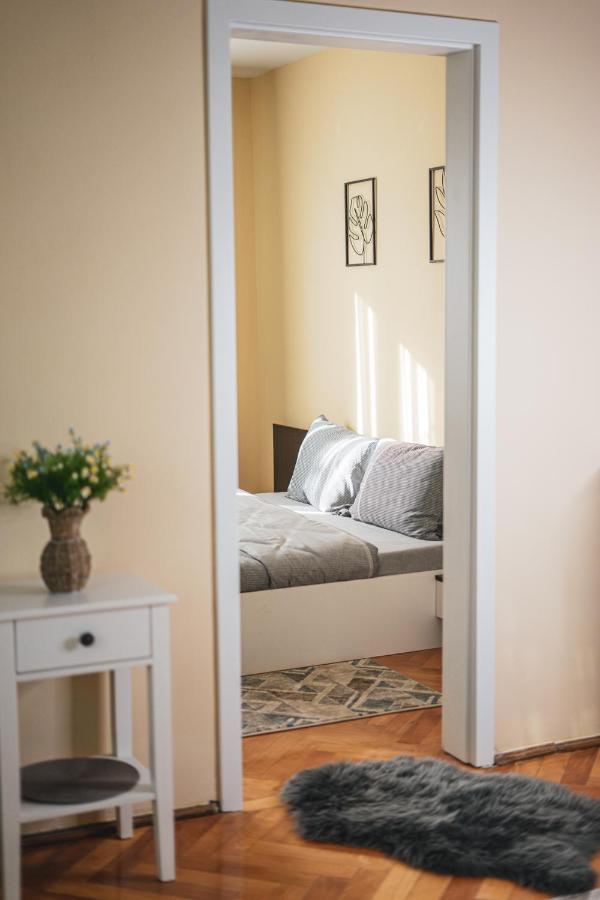Central And Modern Apartment With Free Parking ティミショアラ エクステリア 写真