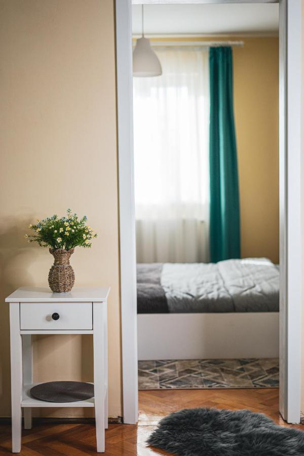 Central And Modern Apartment With Free Parking ティミショアラ エクステリア 写真