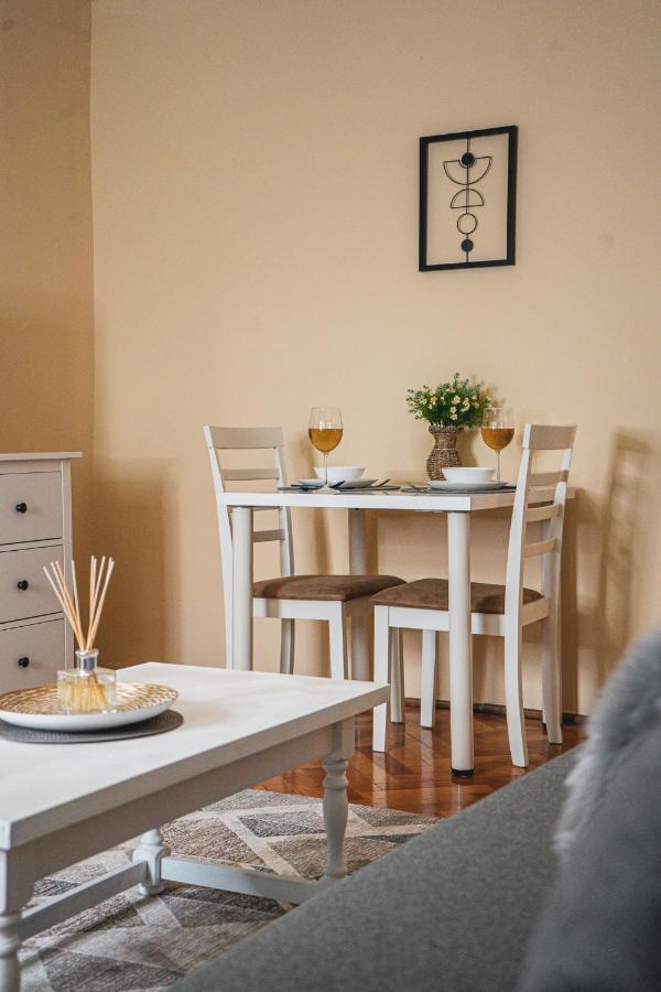 Central And Modern Apartment With Free Parking ティミショアラ エクステリア 写真