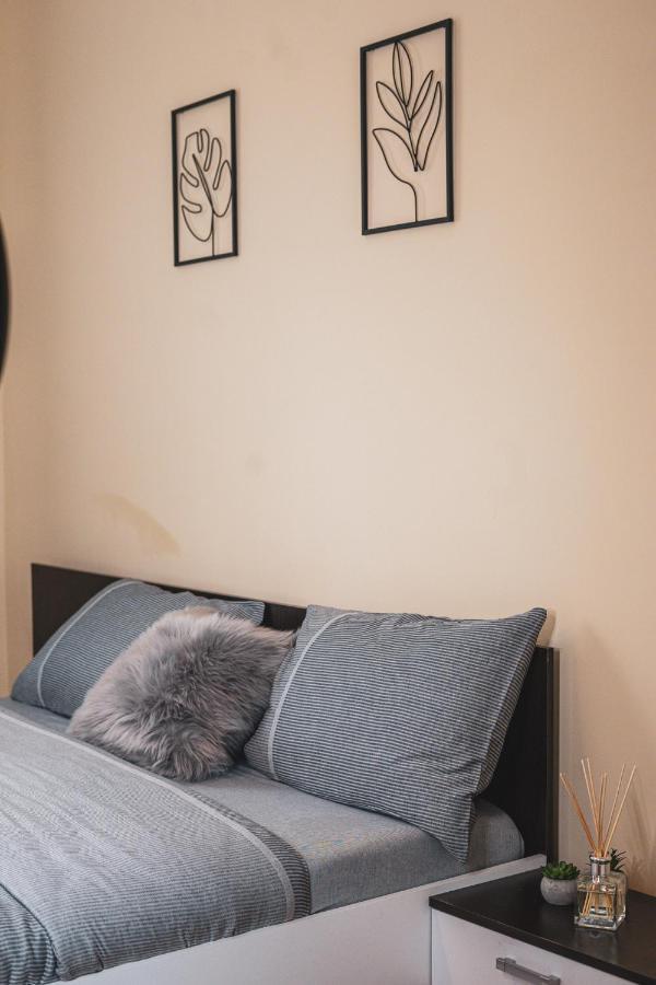Central And Modern Apartment With Free Parking ティミショアラ エクステリア 写真