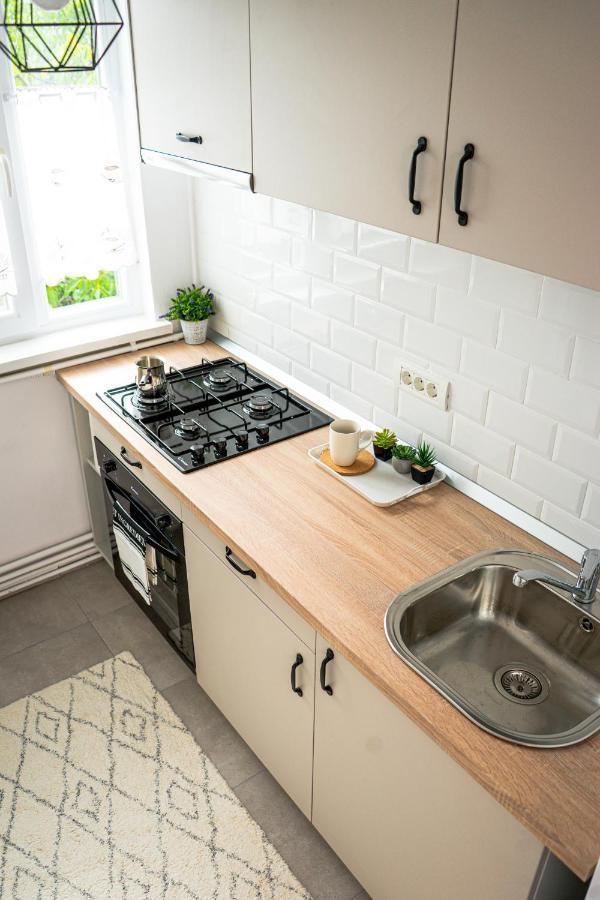 Central And Modern Apartment With Free Parking ティミショアラ エクステリア 写真