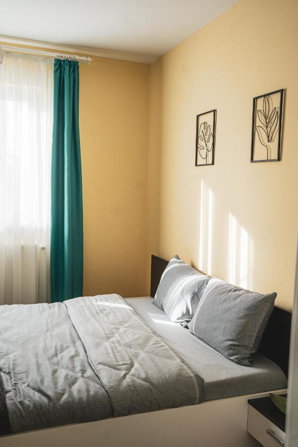 Central And Modern Apartment With Free Parking ティミショアラ エクステリア 写真